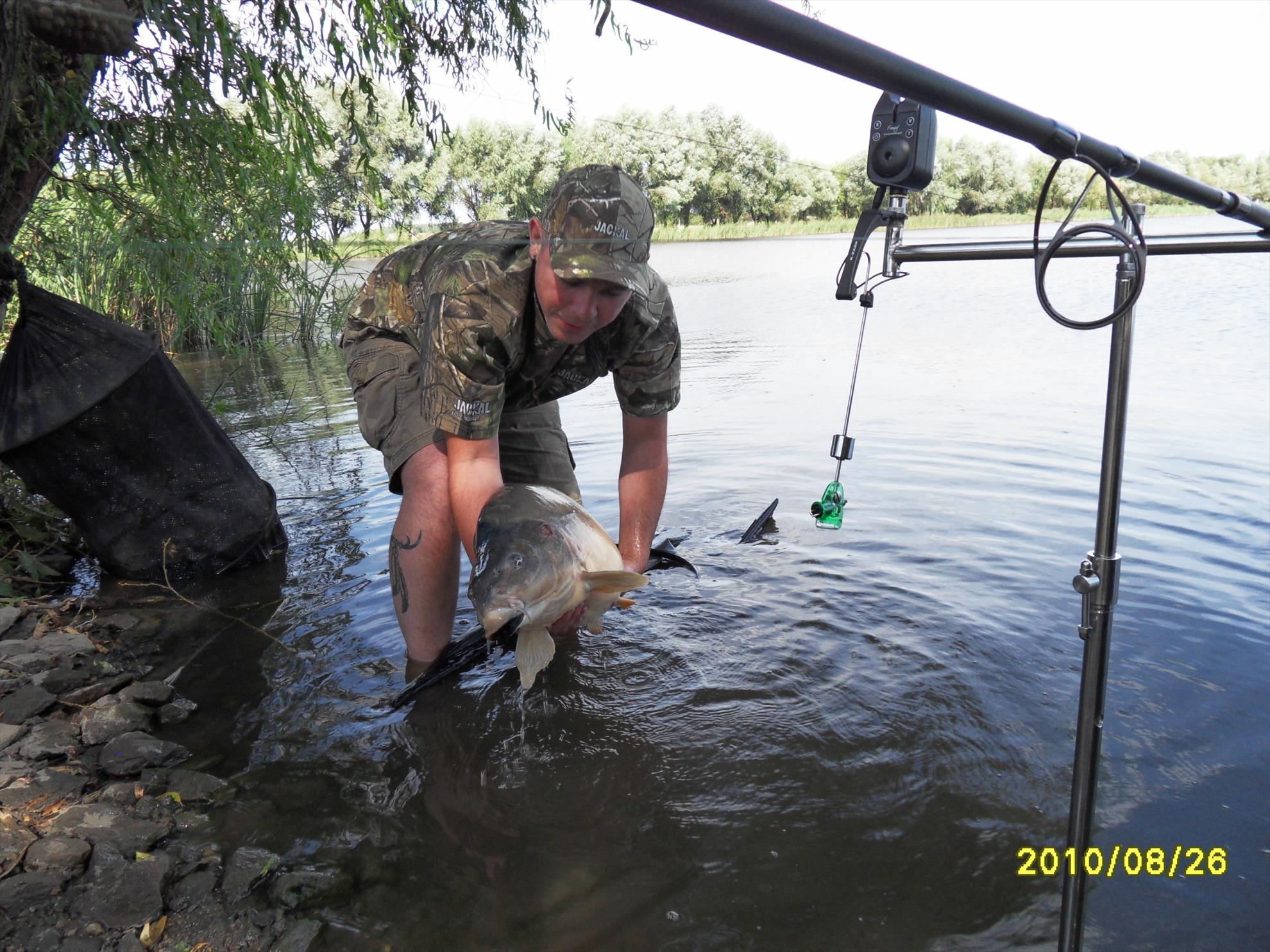 Nagykallo 2010 - nagykallo-13.JPG